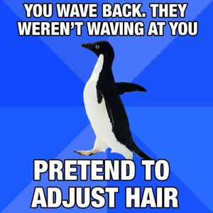 socially awkward penguine