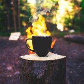 coffee mug in woodland