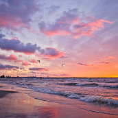 Sunrise period for Unitary Patent
