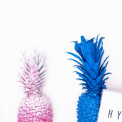 How to differentiate your brand and trademark, colourful pineapples