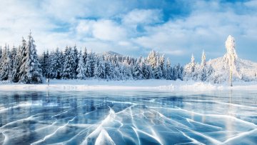 lac glacé sapins enneigés ciel bleu