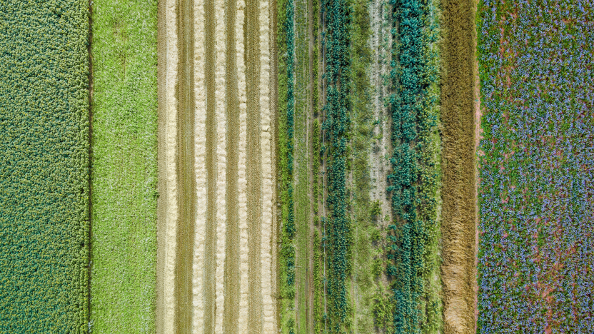 Image de drone aérien de champs avec une culture diversifiée basée sur le principe de la polyculture et de la permaculture - une méthode d'élevage saine de l'écosystème